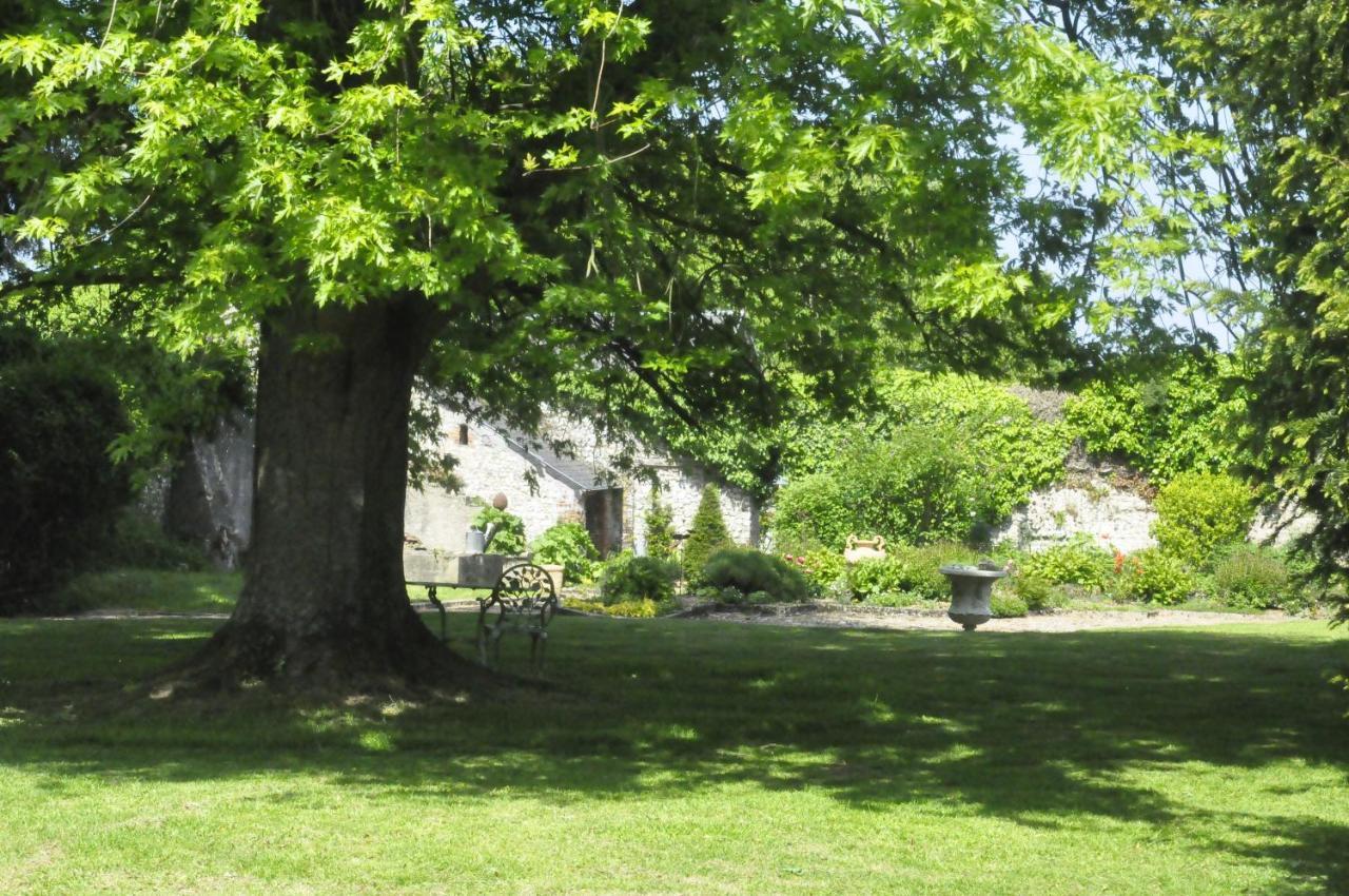 Chateau De St Sauveur D'Émalleville Esterno foto