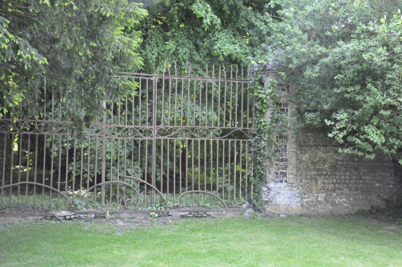 Chateau De St Sauveur D'Émalleville Esterno foto